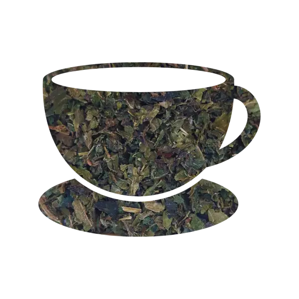 Brandnetel BIO thee, kruidenthee, 40 gram