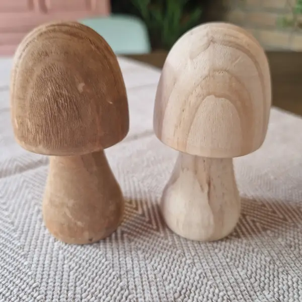 Herfstpakket paddenstoelen